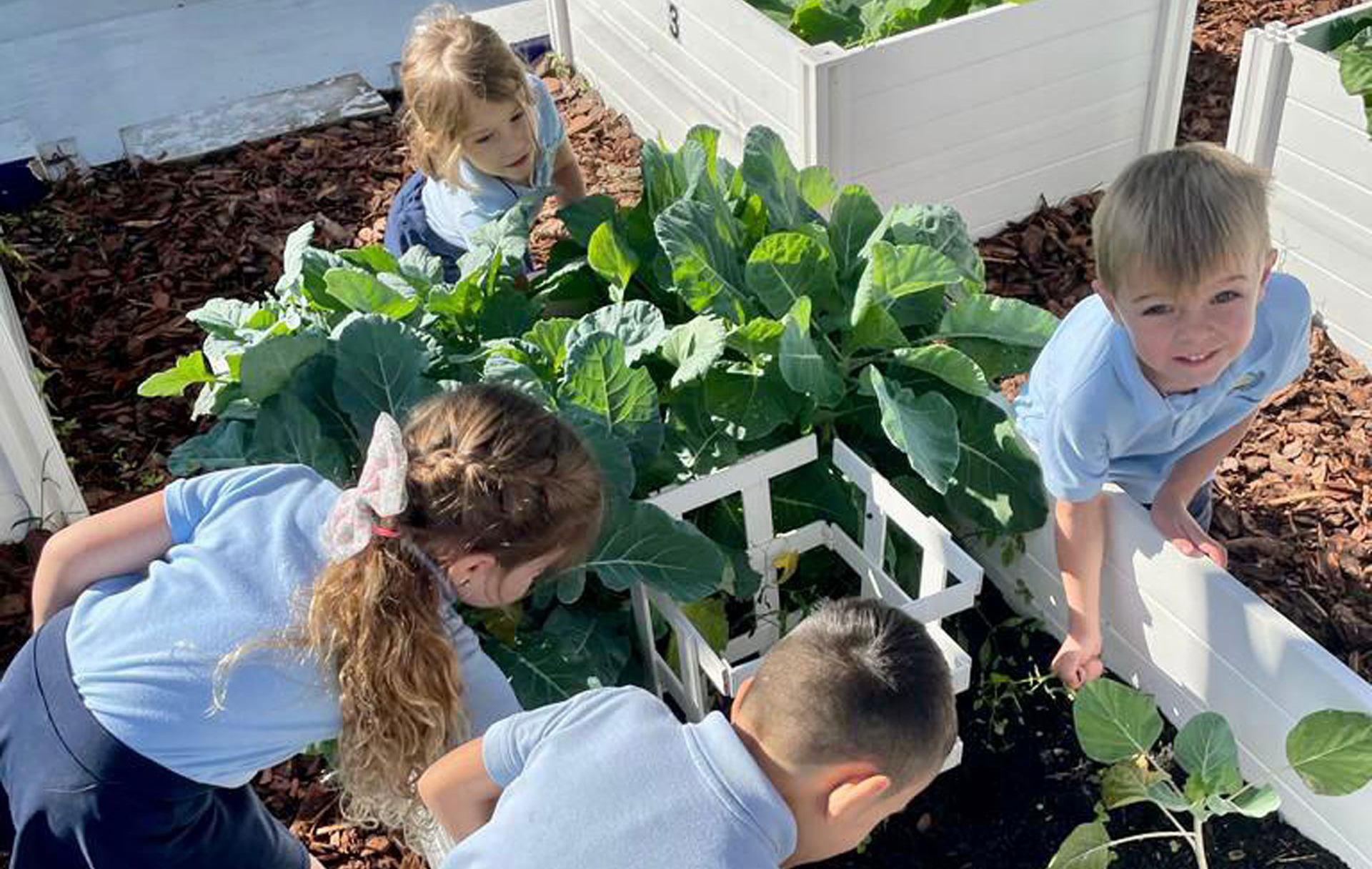 preschoolers gardening